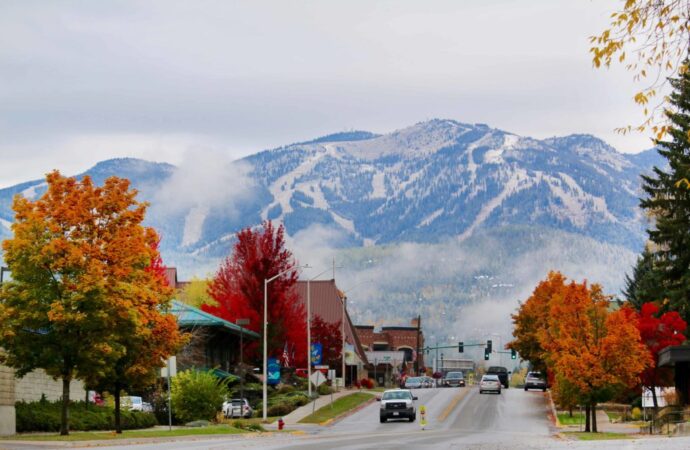 Whitefish MT